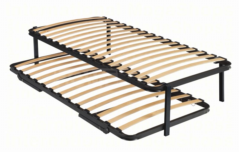 big-canguro-basic-sr25050